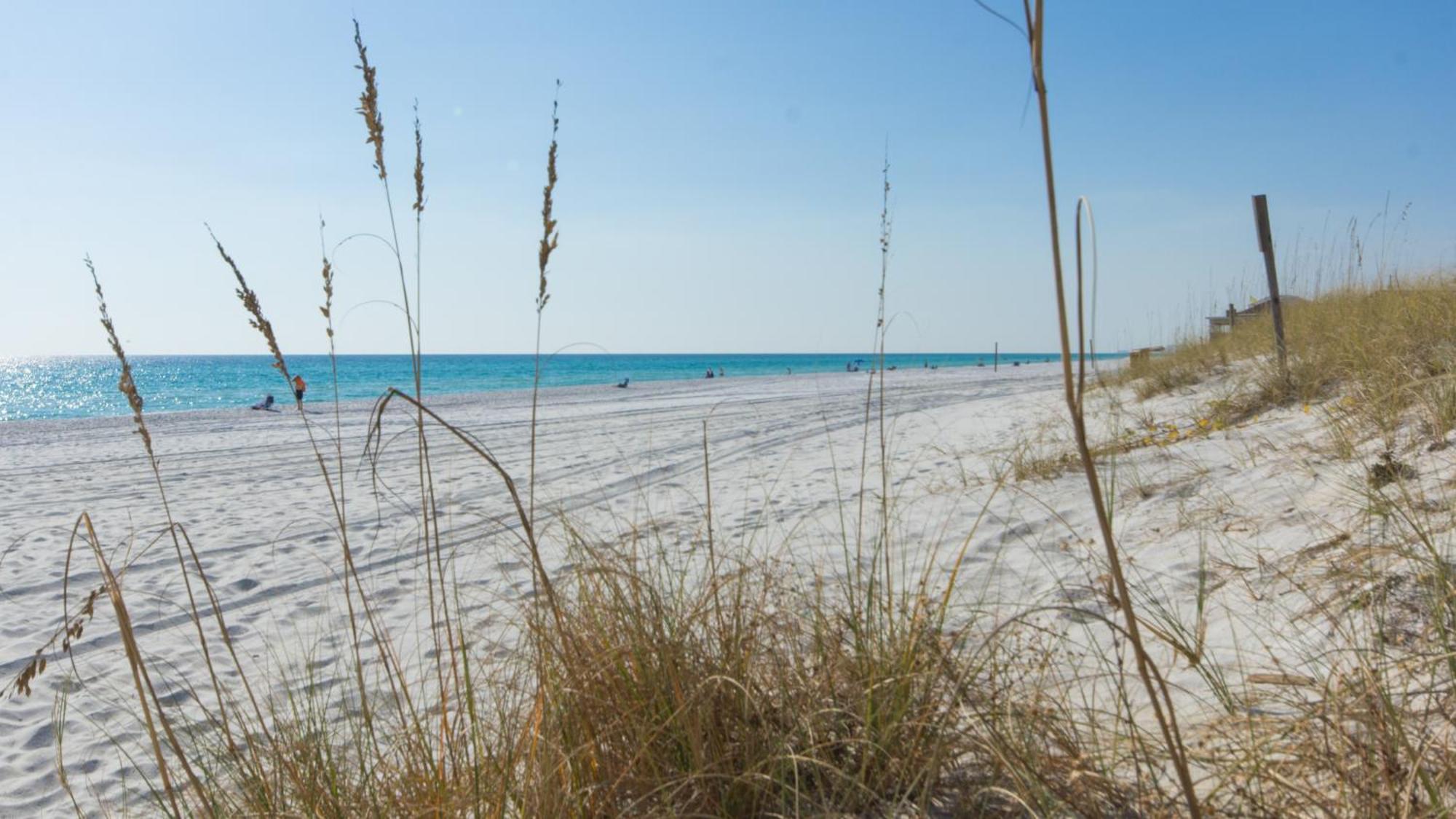 Brand New With In-ground Pool, Four From Beautiful Laguna Panama City Beach